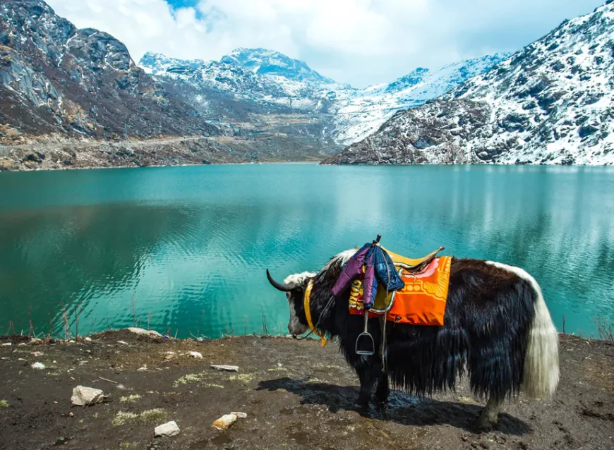 15 Best Places to Visit in Sikkim: The Ultimate Travel Guide (2025)