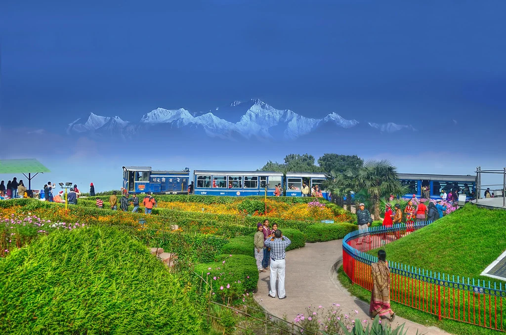 Darjeeling tea plantations and mountains